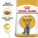 Các Loại Thức Ăn Royal Canin Cho Mèo Theo Từng Độ Tuổi