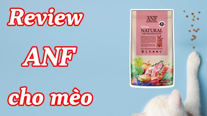 Review Hạt ANF