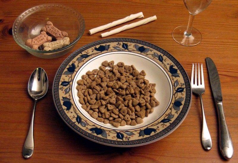 Con người ăn thức ăn cho chó được không?