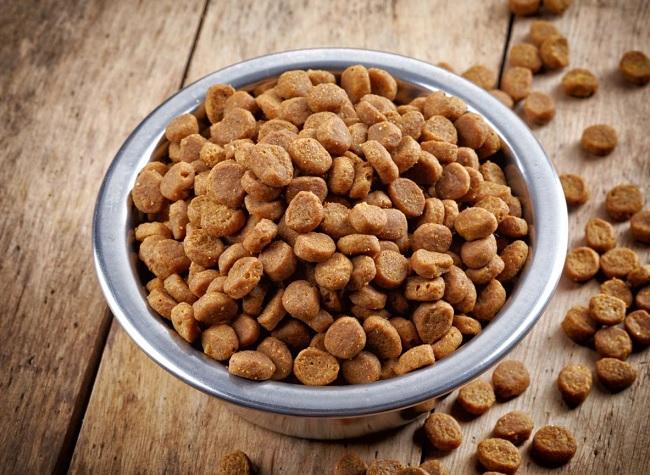 Mua thức ăn hạt phù hợp với mức độ hoạt động của chó
