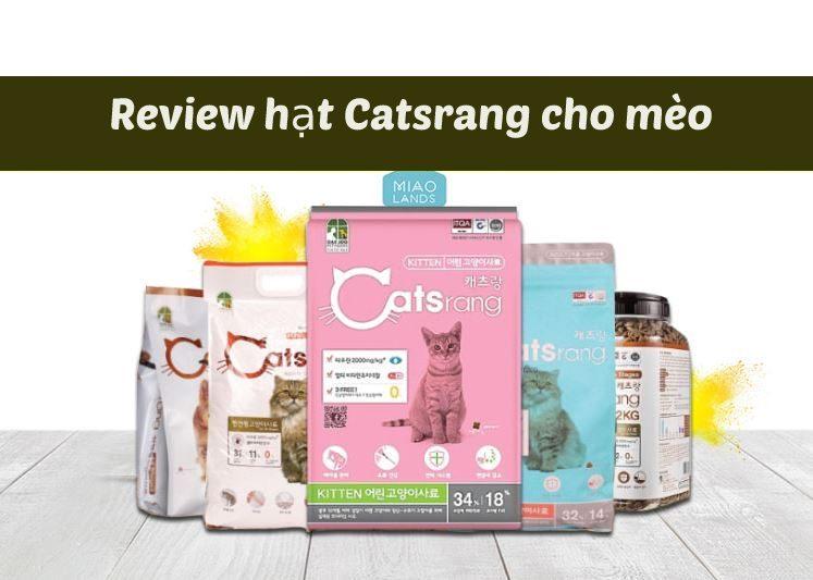 Review hạt Catsrang cho mèo