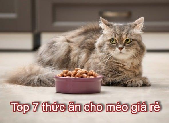 Thức ăn cho mèo của Me-O chính hãng