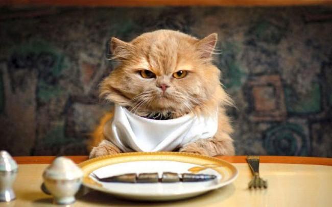 Thức ăn cho mèo trưởng thành Me-O Cat Tuna