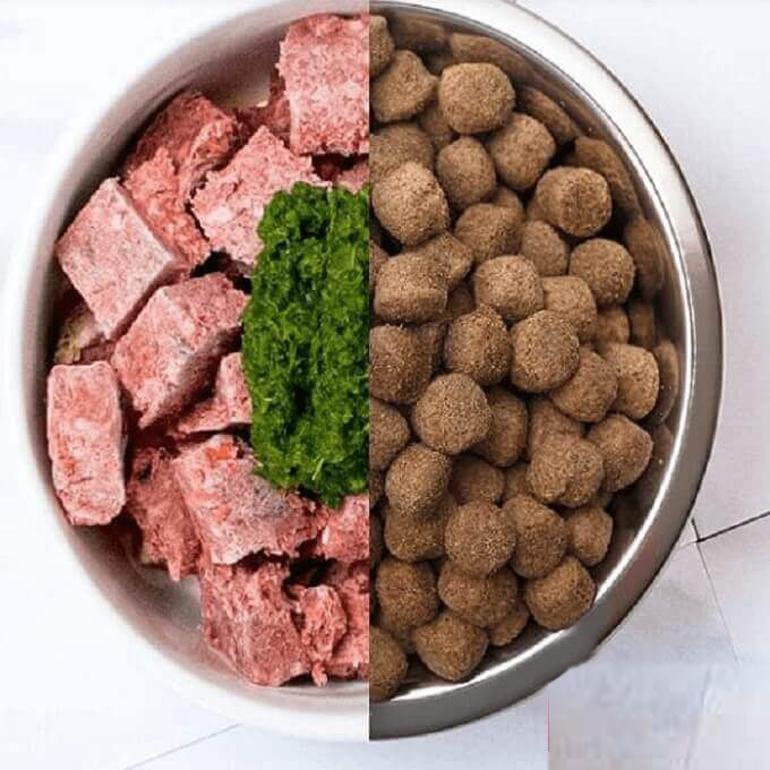 Thức ăn khô cho chó ngày càng được nhiều người nuôi lựa chọn vì tiện lợi