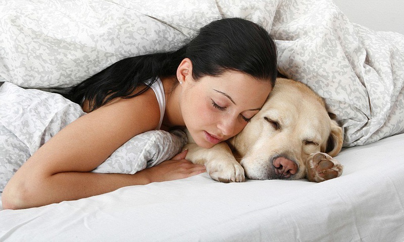 5 tips giúp bạn chăm sóc thú cưng dễ dàng nhất!
