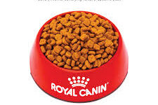 Royal Canin