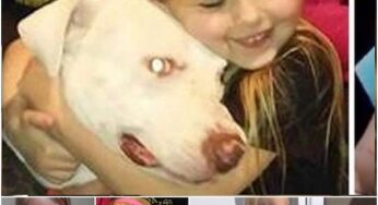 THE HEARTFELT SEARCH THAT REUNITED A GIRL AND HER LOST DOG