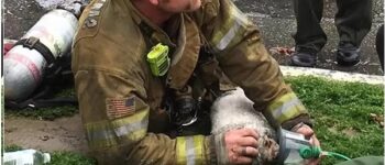BEYOND THE FLAMES: A FIREFIGHTER’S TALE OF COMPASSION AND COURAGE